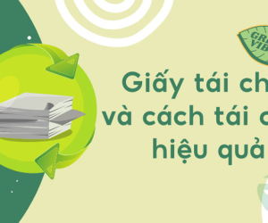 Lợi Ích Của Việc Tái Chế Sử Dụng Giấy