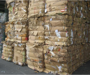 Cơ sở nhận mua ván giấy carton uy tín nhất tại Đồng Nai