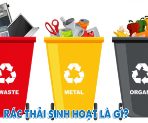 Rác thải sinh hoạt là gì? Quy trình xử lý rác thải sinh hoạt của nhà máy rác