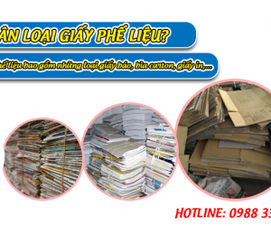 THU MUA PHẾ LIỆU GIẤY