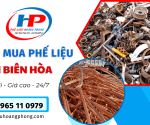 Thu mua phế liệu KCN Biên Hòa đảm bảo giá tốt nhất - Hoàng Phong