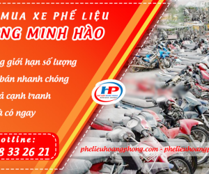 Thu Mua Xe Phế Liệu Giá Cao