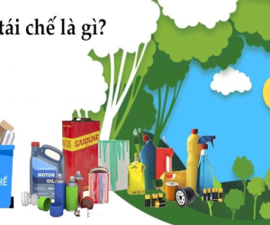 Rác thải tái chế là gì? Có mấy loại? Lợi ích từ việc biến đổi rác tác chế