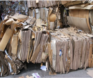 Bảng giá phế liệu giấy carton trên thị trường hiện nay- Phế liệu Trung Minh Hào