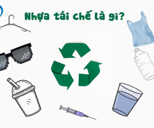 Nhựa Tái Chế Là Gì? Tầm Quan Trọng Và Quy Trình Tái Chế Rác Thải Nhựa 