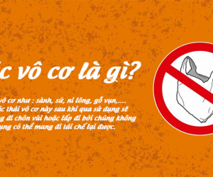 Rác Thải Vô Cơ Là Gì? Đặc Điểm Và Biện Pháp Xử Lý Rác Vô Cơ